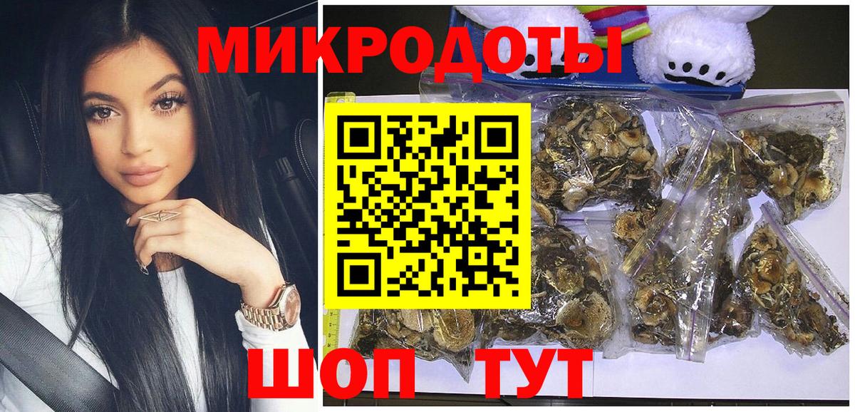 Мичуринск  как найти закладки  Галлюциногенные грибы Cubensis  Вход с VPN  Галлюциногенные грибы мицелий 