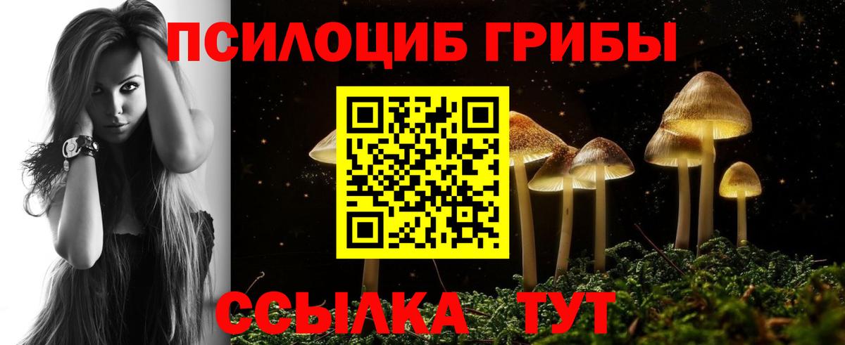 Псилоцибиновые грибы Psilocybe Мичуринск